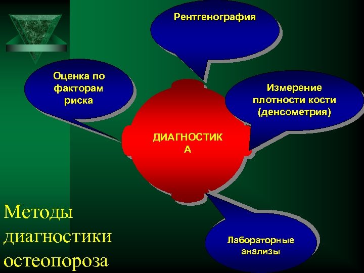 Рентгенография Оценка по факторам риска Измерение плотности кости (денсометрия) ДИАГНОСТИК А Методы диагностики остеопороза