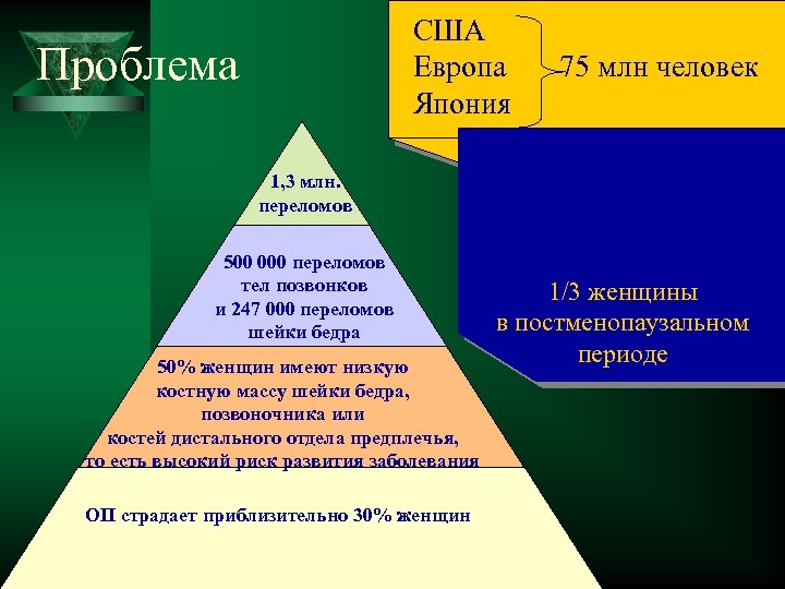 США Европа 75 млн человек Япония Проблема 1, 3 млн. переломов 500 000 переломов