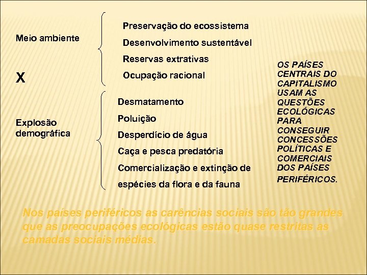 Preservação do ecossistema Meio ambiente Desenvolvimento sustentável Reservas extrativas X Ocupação racional Desmatamento Explosão