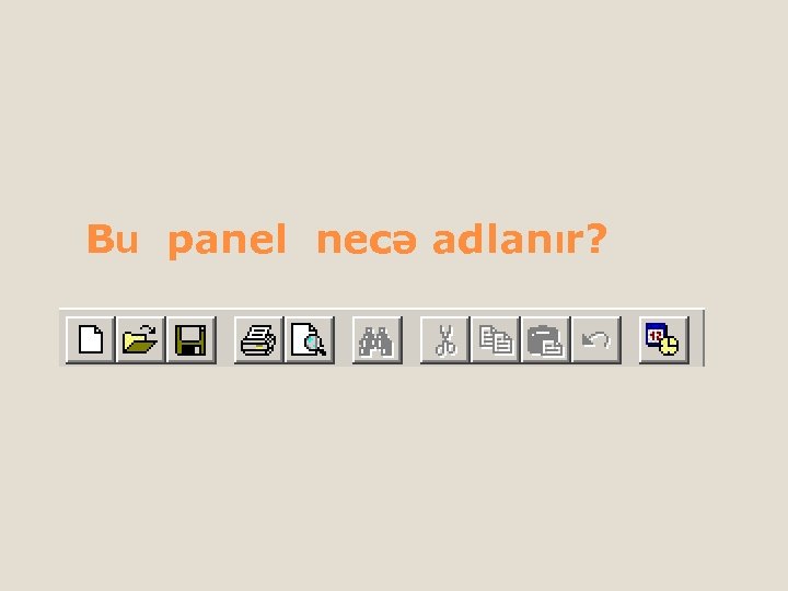 Bu panel necə adlanır? 