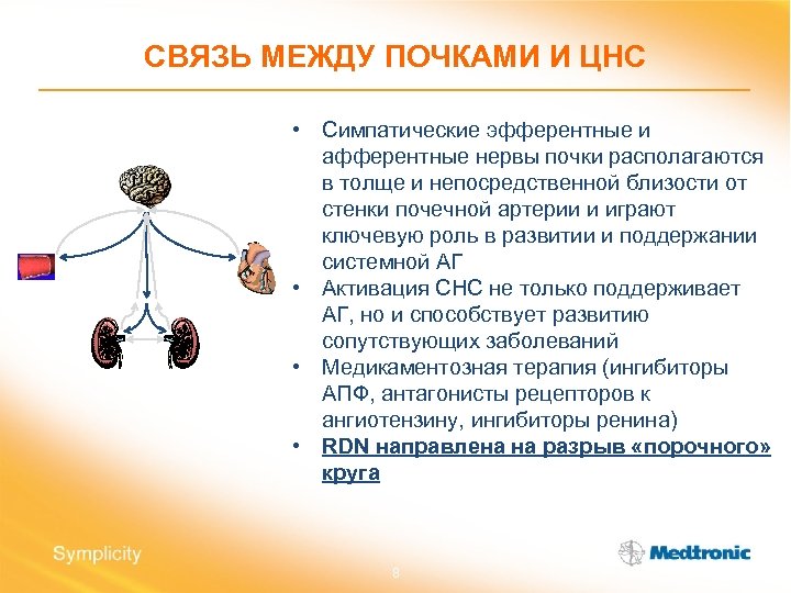 СВЯЗЬ МЕЖДУ ПОЧКАМИ И ЦНС • Симпатические эфферентные и афферентные нервы почки располагаются в