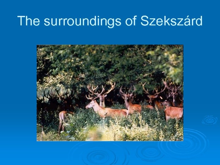 The surroundings of Szekszárd 