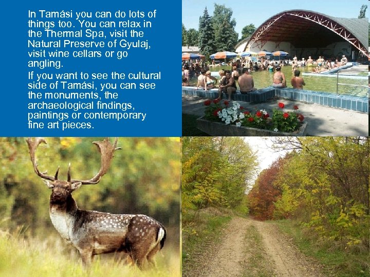 In Tamási you can do lots of things too. You can relax in the