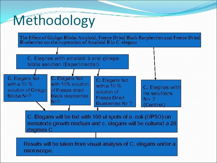 Methodology The Effect of Ginkgo Biloba Amyloid, Freeze Dried Black Raspberries and Freeze Dried