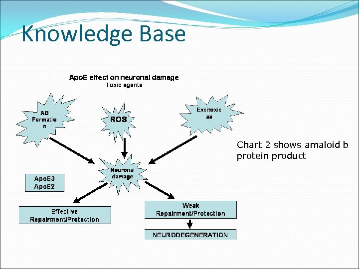 Knowledge Base Chart 2 shows amaloid b protein product 