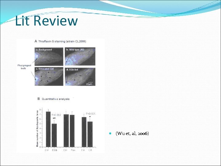Lit Review (Wu et, al, 2006) 