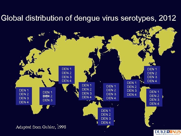 Global distribution of dengue virus serotypes, 2012 DEN 1 DEN 2 DEN 3 DEN