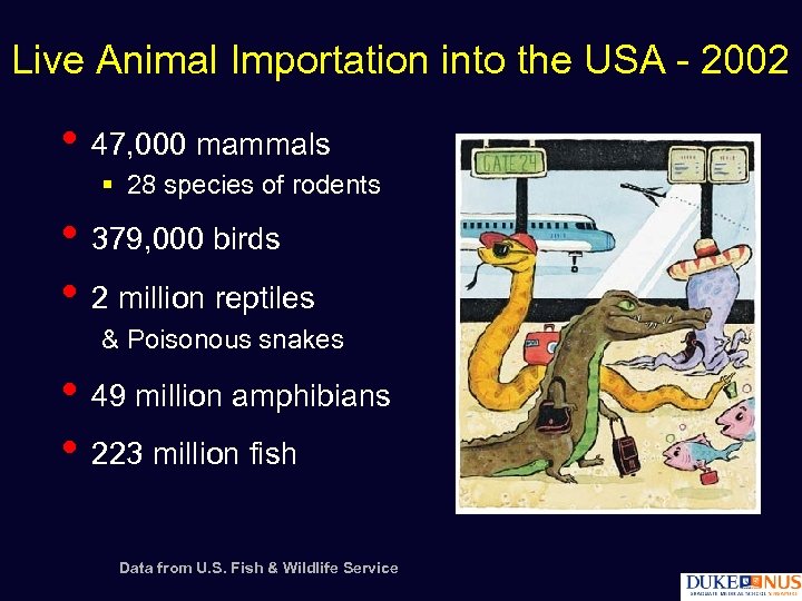 Live Animal Importation into the USA - 2002 • 47, 000 mammals § 28