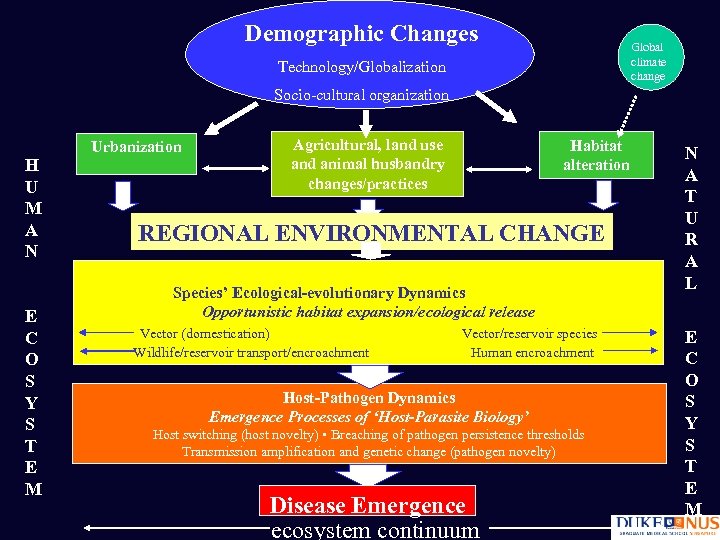 Demographic Changes Global climate change Technology/Globalization Socio-cultural organization H U M A N E