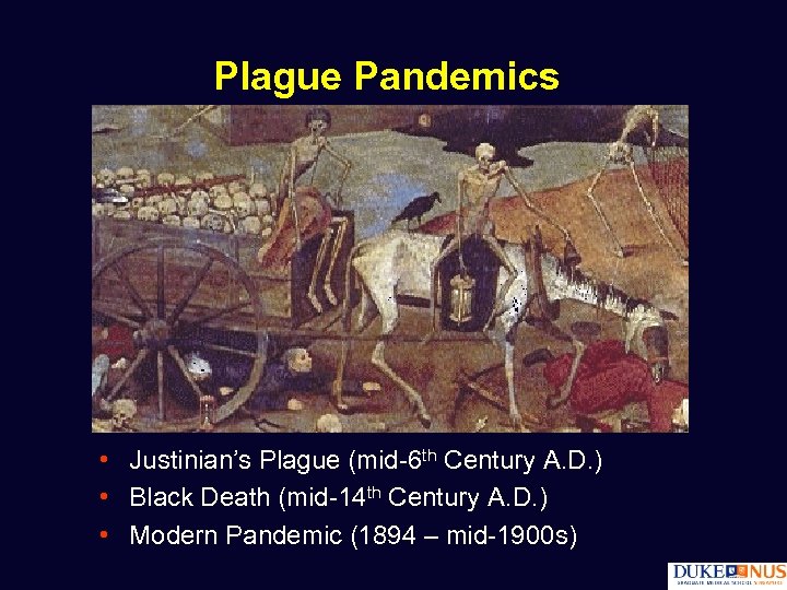 Plague Pandemics • Justinian’s Plague (mid-6 th Century A. D. ) • Black Death