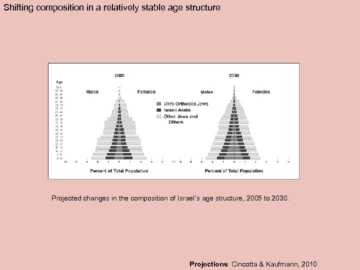 Shifting composition in a relatively stable age structure Projected changes in the composition of