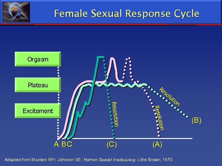 Female Sexual Response Cycle Orgasm Plateau (C) t on utiion Resoll Reso A BC