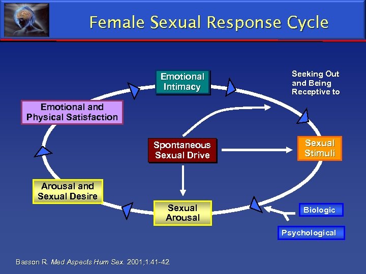 Female Sexual Response Cycle Emotional Intimacy Seeking Out and Being Receptive to Emotional and