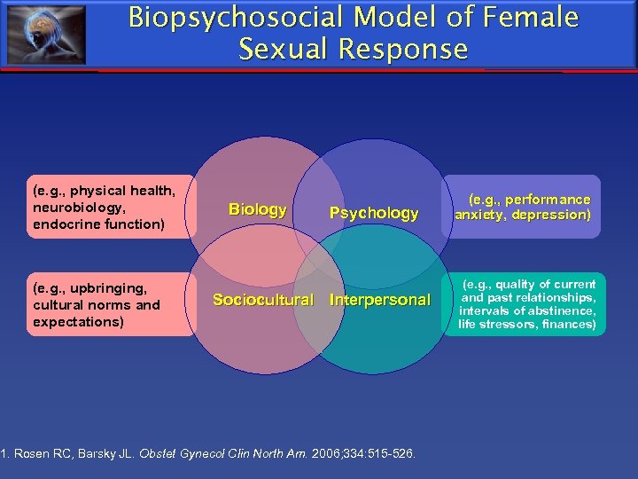 Biopsychosocial Model of Female Sexual Response (e. g. , physical health, neurobiology, endocrine function)