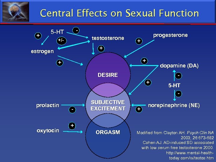 Central Effects on Sexual Function + - 5 -HT testosterone +/- progesterone + +