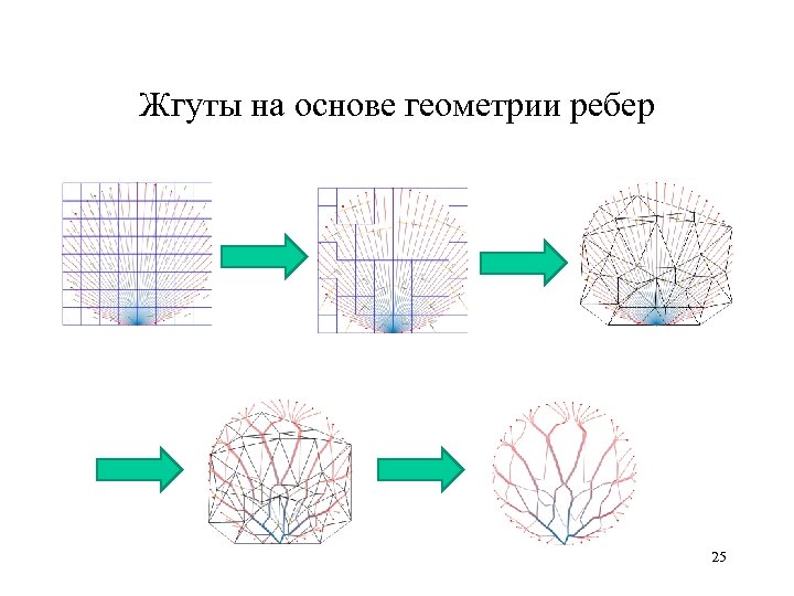 Жгуты на основе геометрии ребер 25 