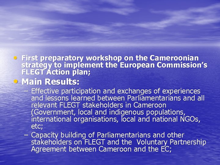  • First preparatory workshop on the Cameroonian strategy to implement the European Commission’s