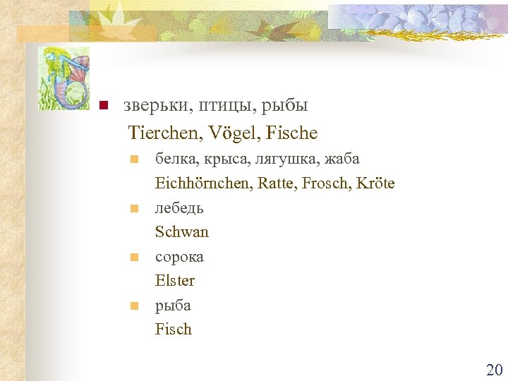 n зверьки, птицы, рыбы Tierchen, Vögel, Fische n n белка, крыса, лягушка, жаба Eichhörnchen,