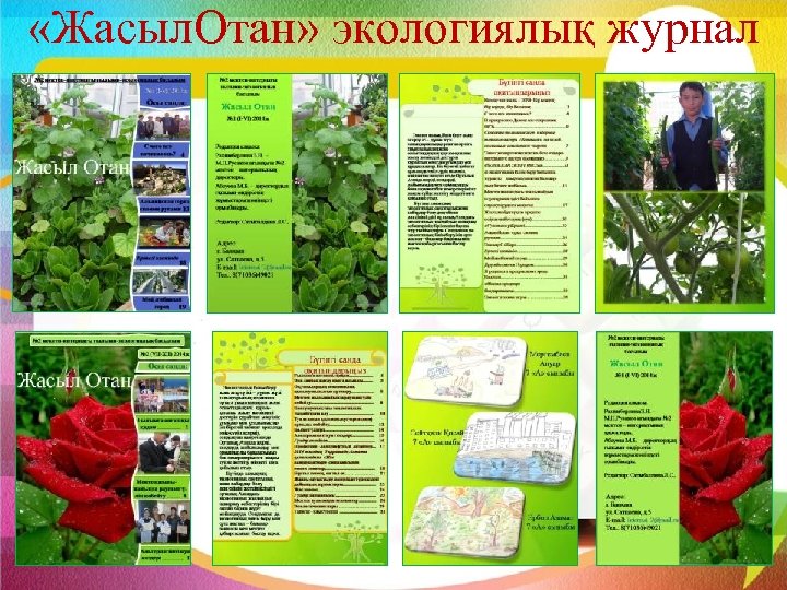  «Жасыл. Отан» экологиялық журнал 