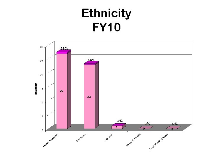 Ethnicity FY 10 