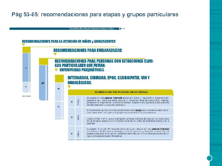 Pág 53 -65: recomendaciones para etapas y grupos particulares 