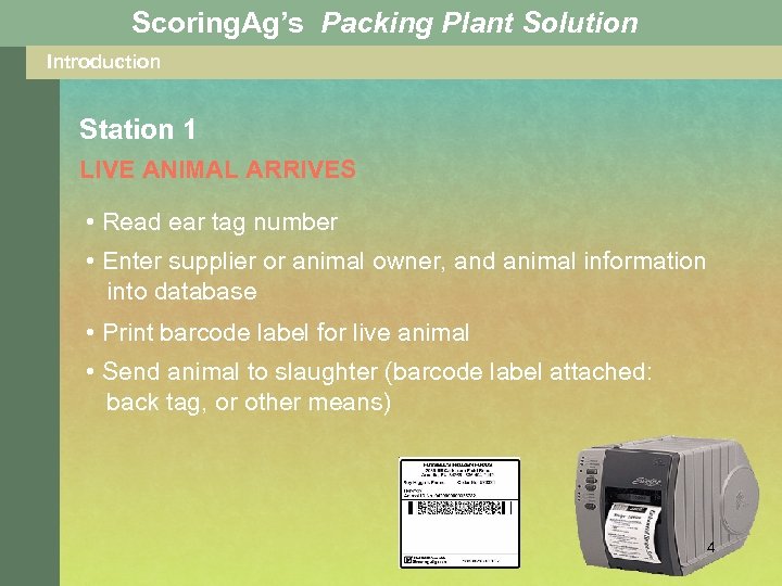 Scoring. Ag’s Packing Plant Solution Introduction Station 1 LIVE ANIMAL ARRIVES • Read ear