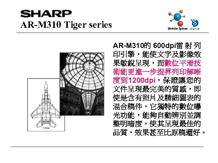 AR-M 310 Tiger series AR-M 310的 600 dpi雷 射 列 印引擎，能使文字及影像效 果敏銳呈現，而數位平滑技 術能更進一步提昇列印解晰 度到
