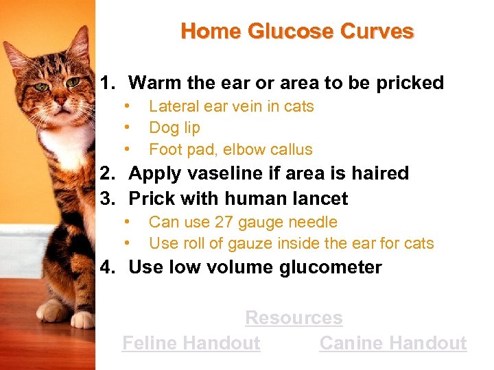 Home Glucose Curves 1. Warm the ear or area to be pricked • •