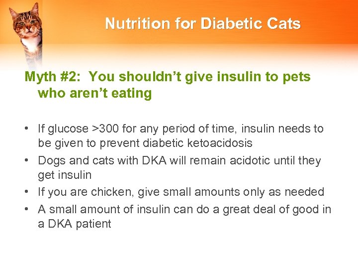 Nutrition for Diabetic Cats Myth #2: You shouldn’t give insulin to pets who aren’t