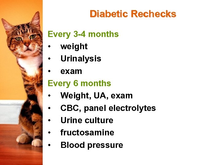 Diabetic Rechecks Every 3 -4 months • weight • Urinalysis • exam Every 6