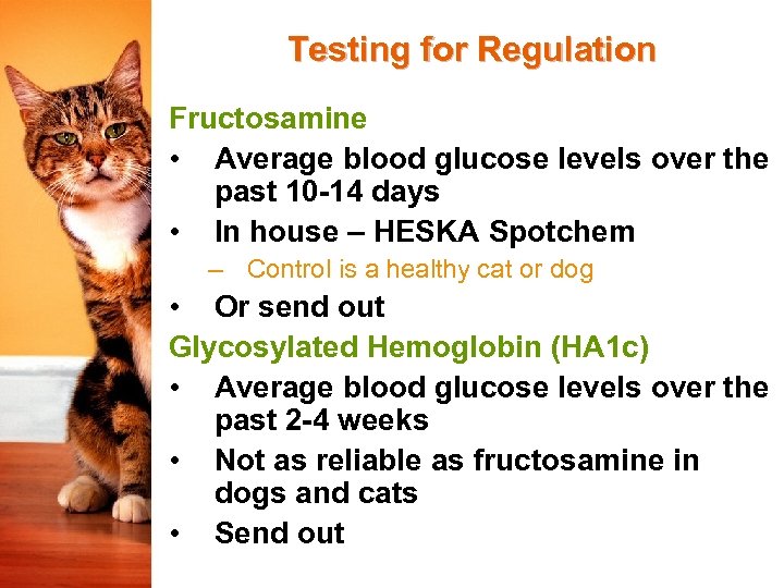 Testing for Regulation Fructosamine • Average blood glucose levels over the past 10 -14