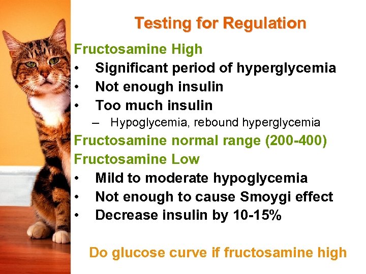 Testing for Regulation Fructosamine High • Significant period of hyperglycemia • Not enough insulin