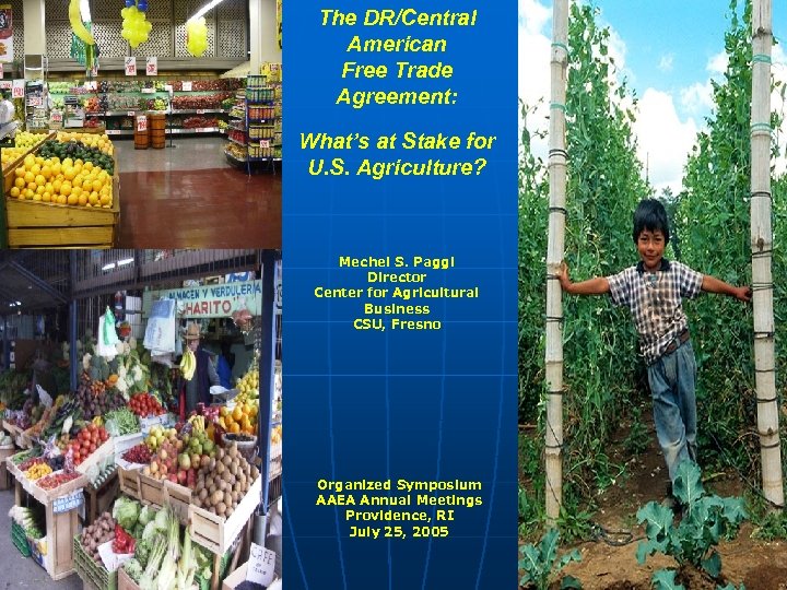 The DR/Central American Free Trade Agreement: What’s at Stake for U. S. Agriculture? Mechel