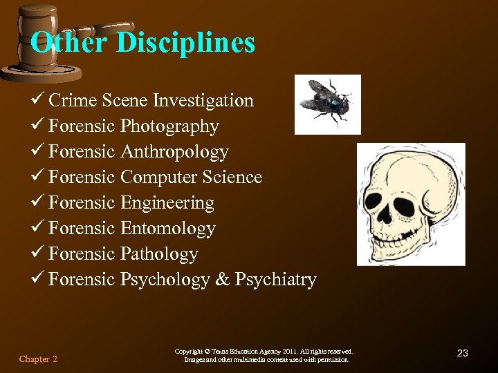 Other Disciplines ü Crime Scene Investigation ü Forensic Photography ü Forensic Anthropology ü Forensic