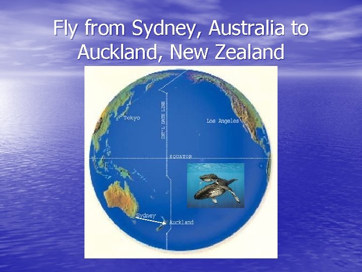 Fly from Sydney, Australia to Auckland, New Zealand 