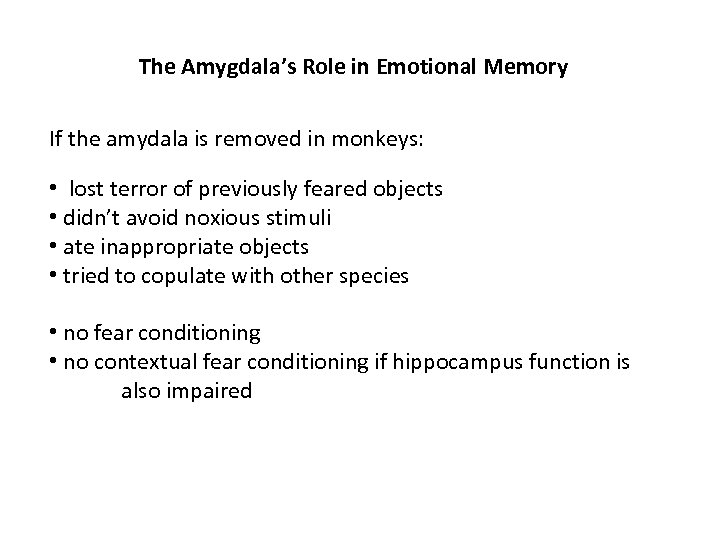 The Amygdala’s Role in Emotional Memory If the amydala is removed in monkeys: •