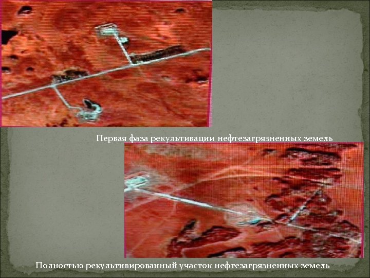 Первая фаза рекультивации нефтезагрязненных земель Полностью рекультивированный участок нефтезагрязненных земель 