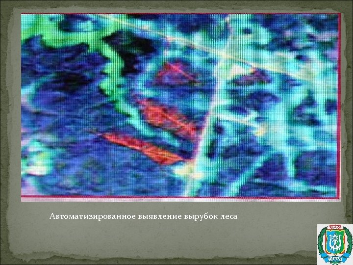 Автоматизированное выявление вырубок леса 