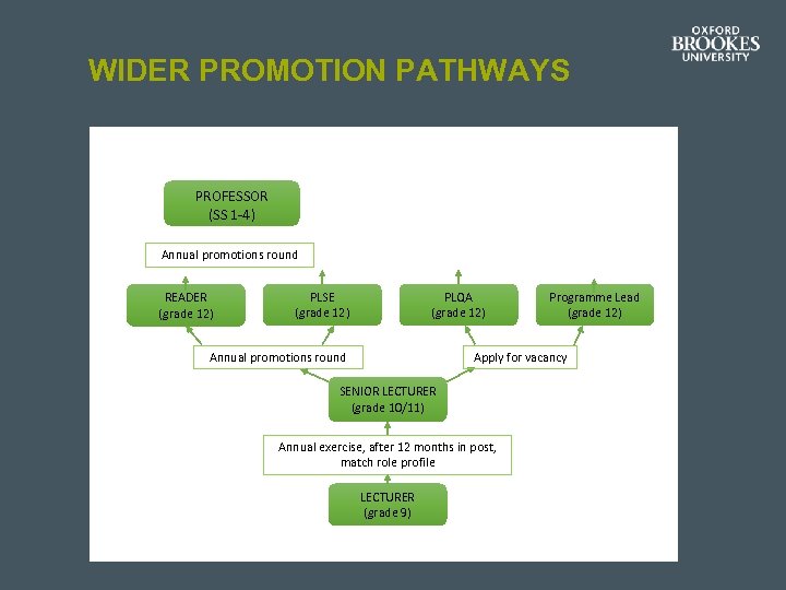 WIDER PROMOTION PATHWAYS PROFESSOR (SS 1 -4) Annual promotions round READER (grade 12) PLSE