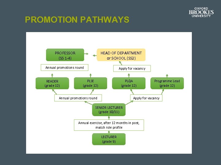 PROMOTION PATHWAYS PROFESSOR (SS 1 -4) HEAD OF DEPARTMENT or SCHOOL (SS 2) Annual