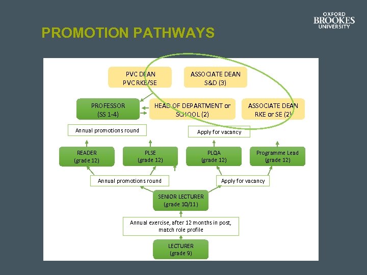 PROMOTION PATHWAYS PVC DEAN PVC RKE/SE PROFESSOR (SS 1 -4) ASSOCIATE DEAN S&D (3)