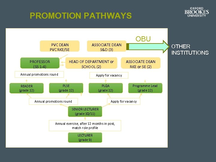 PROMOTION PATHWAYS PVC DEAN PVC RKE/SE PROFESSOR (SS 1 -4) ASSOCIATE DEAN S&D (3)