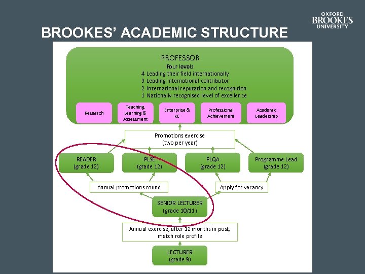 BROOKES’ ACADEMIC STRUCTURE PROFESSOR 4 3 2 1 Research Four levels Leading their field