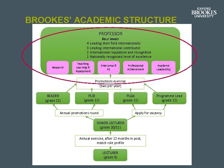 BROOKES’ ACADEMIC STRUCTURE PROFESSOR 4 3 2 1 Research Four levels Leading their field