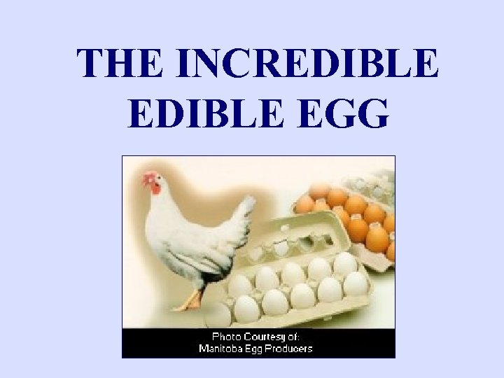 THE INCREDIBLE EGG 