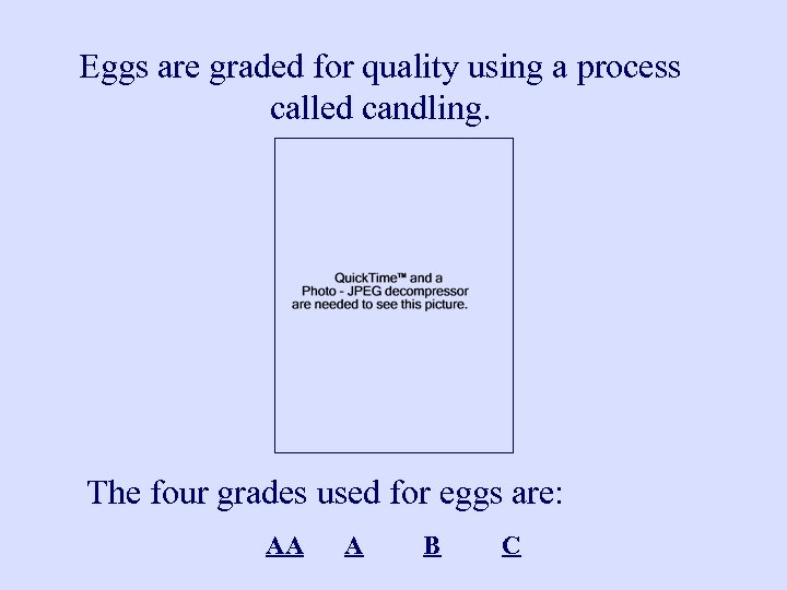 the-incredible-egg-eggs-are-composed-of