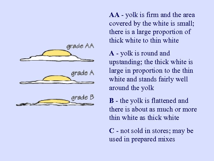 the-incredible-egg-eggs-are-composed-of