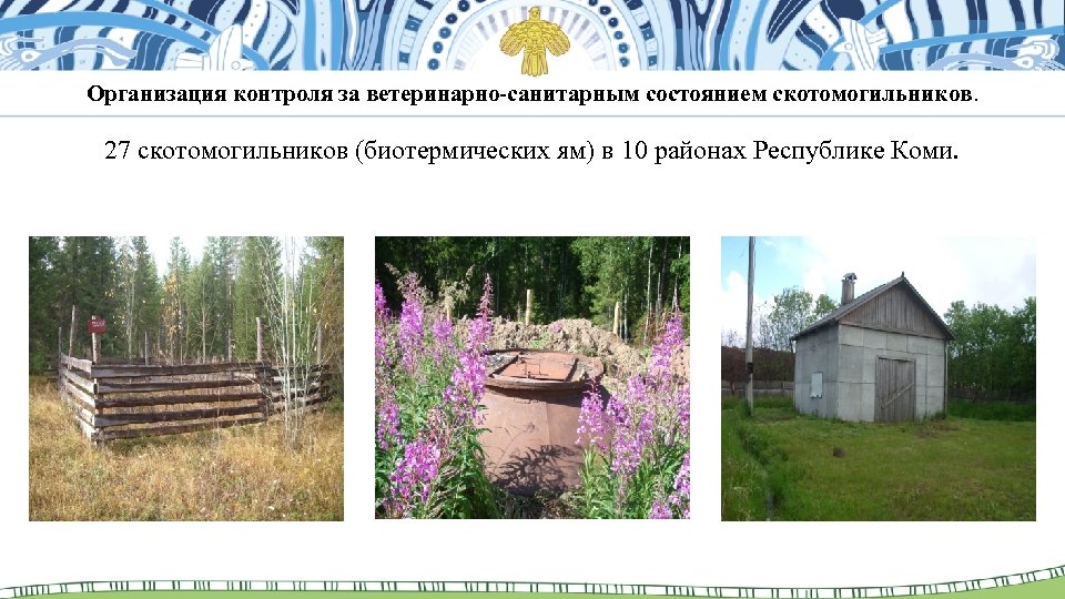 Организация контроля за ветеринарно-санитарным состоянием скотомогильников. 27 скотомогильников (биотермических ям) в 10 районах Республике