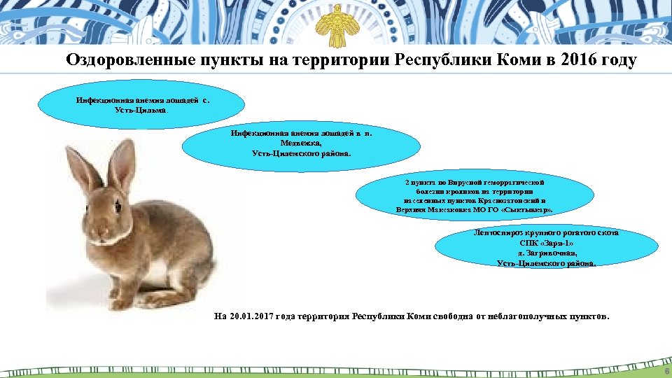 Оздоровленные пункты на территории Республики Коми в 2016 году Инфекционная анемия лошадей с. Усть-Цильма.