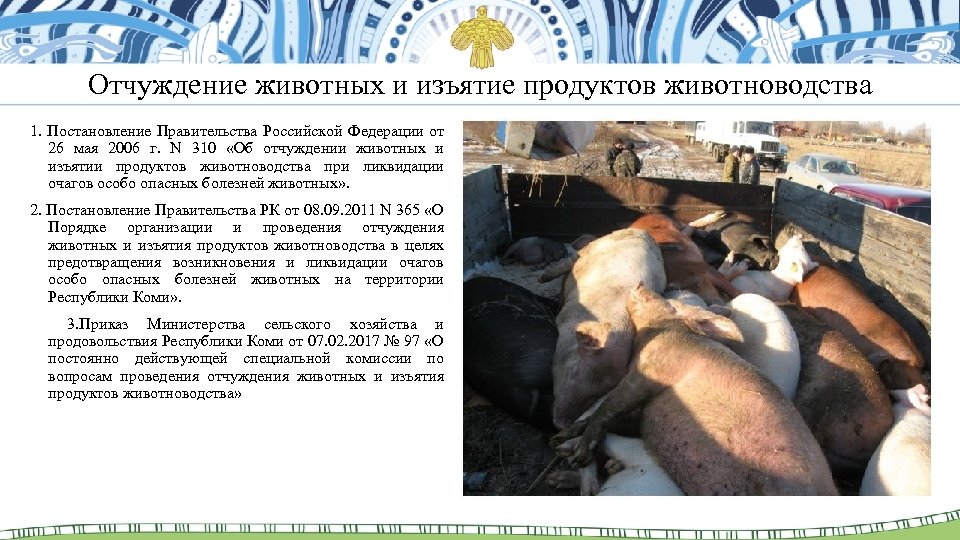 Отчуждение животных и изъятие продуктов животноводства 1. Постановление Правительства Российской Федерации от 26 мая